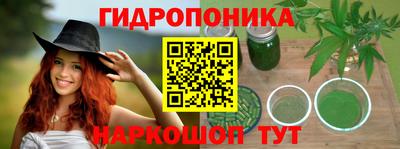 гашик Малгобек