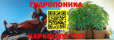 гашик Малгобек