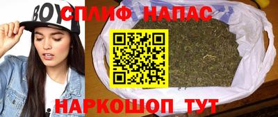 гашик Малгобек